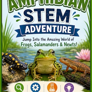 Op de afbeelding: Een rechthoekig educatief werkblad getiteld Amphibian STEM Adventure voor 7-10 jarigen. Het bevat een zwart-gele salamander, een groene kikker en een bruine watersalamander. Iconen voor Discover, Build, Investigate en Create zijn inbegrepen.