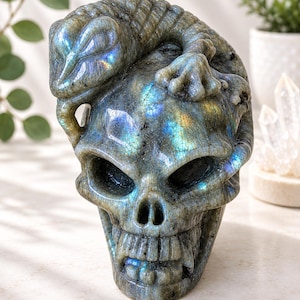 May include: A hand-carved skull sculpture made from grey labradorite stone with iridescent blue and gold flashes. A lizard is sculpted resting on top of the skull, with its body coiled around the crown and its feet gripping the sides of the cranium.