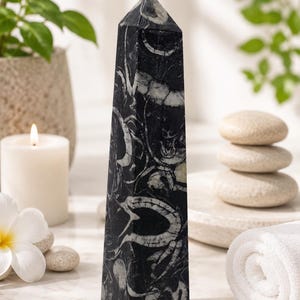May include: A tall, polished stone obelisk featuring a deep black base colour with intricate, light grey fossilised shell patterns throughout its surface. The object has a four-sided tapered body that culminates in a sharp, pointed pyramid top.