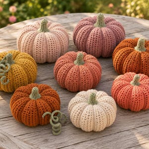Può includere: Una collezione di otto zucche realizzate all'uncinetto in vari colori, tra cui rosa chiaro, rosa antico, giallo senape, arancione bruciato e crema. Ogni zucca presenta una consistenza a coste e un piccolo stelo all'uncinetto verde chiaro.