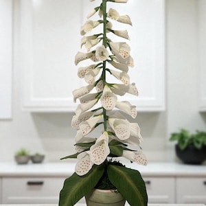 May include: A tall, artificial white foxglove plant in a decorative pot. The plant features numerous bell-shaped flowers with speckled patterns and green leaves. The plant is 22-23 inches tall.