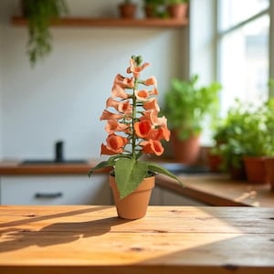 May include: A potted foxglove plant with orange bell-shaped flowers and green leaves. The plant is in a small terracotta pot, sitting on a wooden table. The background includes a kitchen with a window and other plants.