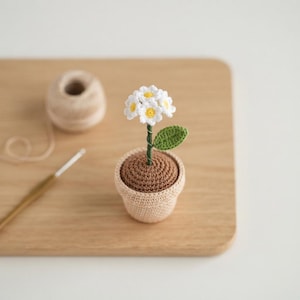 Virkat mini-krukväxtmönster i PDF-format, virkmönster för liten blomkruka, skrivbordsdekor, handgjord presentidé, minivirkad blomdekor