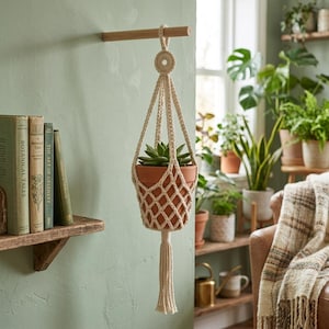May include: A cream-colored macrame plant hanger made of woven cord, featuring a diamond-patterned net design, a circular top loop, and a long bottom tassel. The hanger holds a terracotta-colored pot containing a green succulent plant.