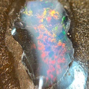Può includere: Primo piano di una vibrante pietra preziosa di opale. L'opale mostra uno spettro di colori, tra cui rosso, arancione, giallo e verde, con una base bianco latte. La pietra è posta su uno sfondo marrone strutturato.