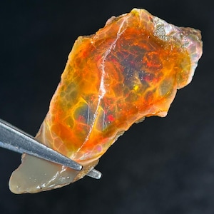 Può includere: Una vibrante gemma di opale grezzo con un motivo interno arancione e rosso acceso. La pietra è tenuta da pinzette d'argento su uno sfondo scuro, mostrando la sua qualità traslucida e la sua forma naturale e irregolare. Il colore dell'opale passa da una base pallida a tonalità intense.