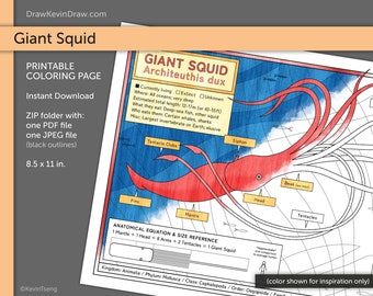 Calamar gigante / Página para colorear / Digital, Imprimible, PDF, JPEG / Architeuthis Ocean Deep Sea Marine Aquatic Animal Biology Science