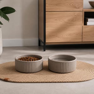 May include: Two round, ribbed, light gray ceramic bowls placed on an oval, braided tan jute mat. One bowl contains brown dry pet food kibble, while the other bowl is filled with clear water. The bowls feature a vertical fluted texture.