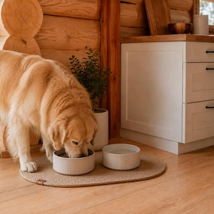 May include: A golden retriever eats from a white, cylindrical, ribbed ceramic bowl placed on a matching oval woven mat next to a second identical bowl filled with water. The bowls feature a vertical textured pattern and a clean, minimalist design.