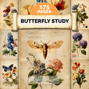 May include: A digital collection of 175 pages titled BUTTERFLY STUDY, featuring vintage-style botanical illustrations of butterflies, moths, and various flowers like hydrangeas, tulips, and delphiniums on aged parchment paper with handwritten script.