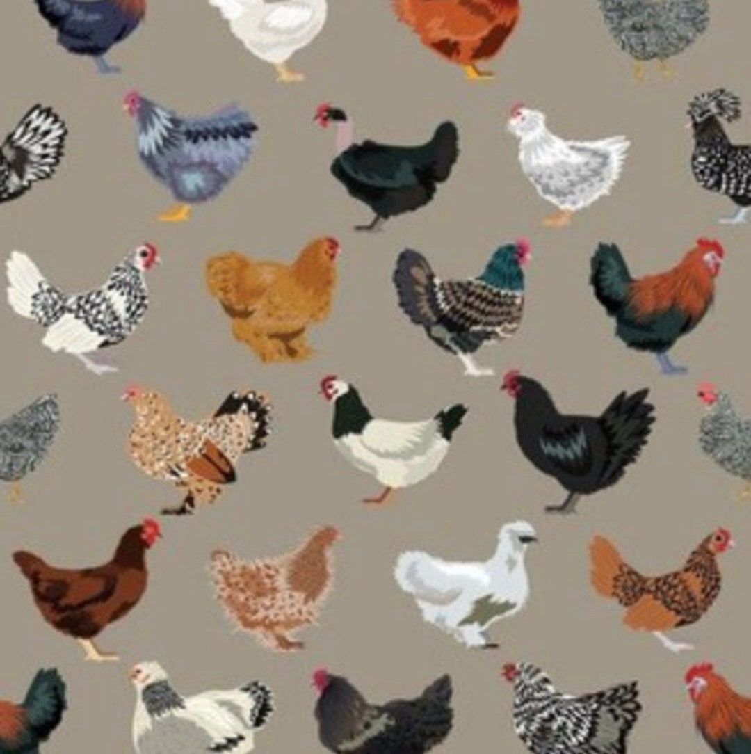Lovey, Baby Blanket, or Adult Blanket Chickens on Stone. Chicken Lovey