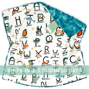 Lovey: Florida Alphabet. Lovey. Alphabet Lovey. Florida Lovie. Baby Lovey. Lovie. Minky Lovey. Lovey for Babies. Baby Gift. PYO.