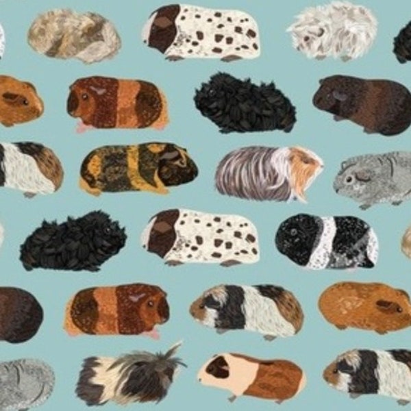 Guinea Pig Blanket Etsy