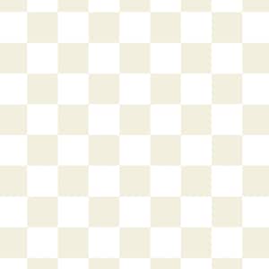 Lovey, Baby Blanket, or Adult Blanket: Oak Checkerboard. Minky. Soft. Gender Neutral. Retro. Check. Geometric. Boy. Ivory. Beige. Baby Gift.