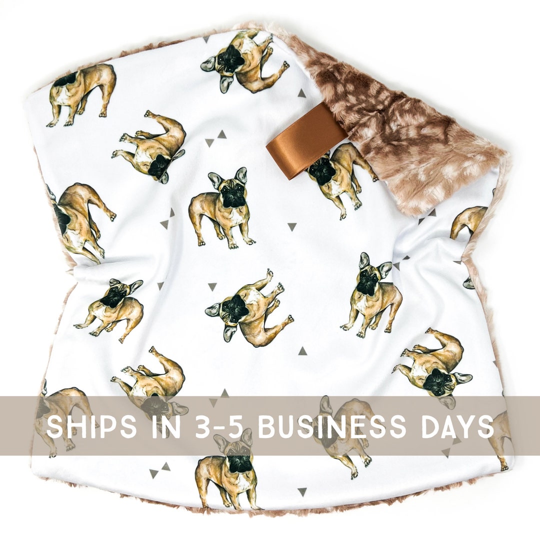 Lovey French Bulldogs. Lovey. French Bulldog Lovey. Frenchie Etsy