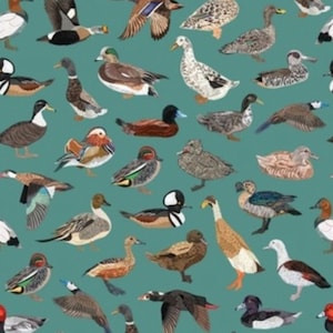 Lovey, Baby Blanket, or Adult Blanket: A Waddle of Ducks. Mallard Lovey. Game Bird Lovey. Duck Lovey. Water Bird Lovey. Baby Gift.