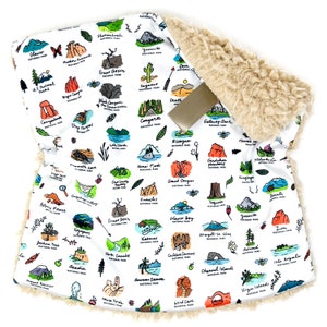 Lovey: National Parks. Lovey. Mountain Lovey. National Park Lovey. Adventure Lovey. Baby Lovey. Minky Lovey. Lovey for Babies. Baby Gift.