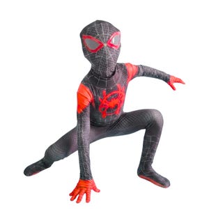 May include: A black and gray Spider-Man costume with red accents. The costume features a spider web pattern, red eye lenses, and a red spider emblem on the chest. The gloves and shoulder areas are bright red.