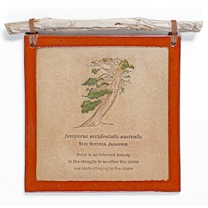 May include: A rectangular ceramic wall hanging with a brown frame and a beige center. The center features a drawing of a juniper tree with text. A piece of wood is attached to the top with leather straps.