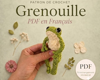 Patron Crochet Grenouille Amigurumi PDF, Grenouille au Crochet, Modèle Amigurumi Débutant, Téléchargement Immédiat, Patron en Français