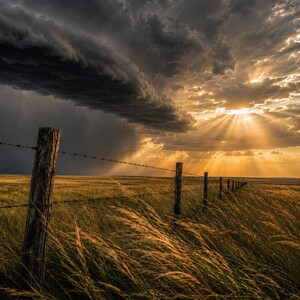 Puede incluir: Una fotografía de paisaje con una cerca de alambre de púas y postes de madera desgastados que se extiende por un campo de hierba. Una dramática nube de tormenta oscura se cierne a la izquierda, mientras la luz dorada brilla. The Goose Garden.