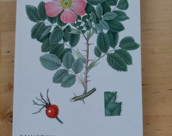Nordens Flora - Number 5 - C.A.M. Lindman - Swedish botanical book