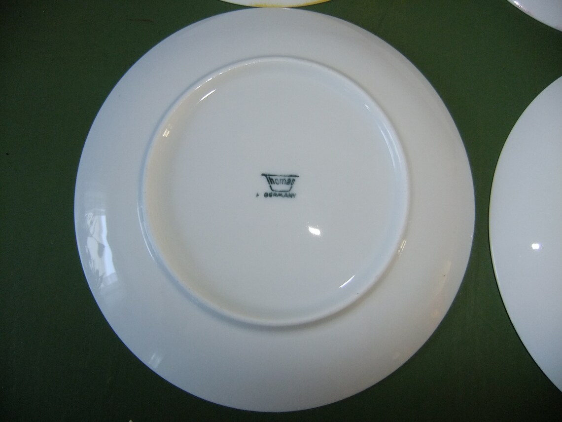 Thomas Germany Colorful salad plates Set of four Spring Etsy