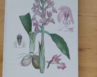 Nordens Flora - Number 3 - C.A.M. Lindman - Swedish botanical book