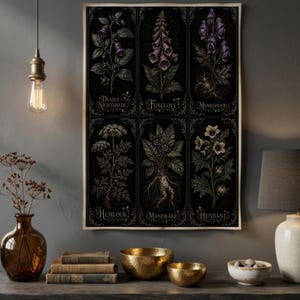 Puede incluir: Un póster de pared rectangular que presenta seis ilustraciones botánicas sobre un fondo negro. Las plantas están etiquetadas como Deadly Nightshade, Foxglove, Monkshood, Hemlock, Mandrake y Henbane. Cada planta se representa en tonos oscuros y detallados.