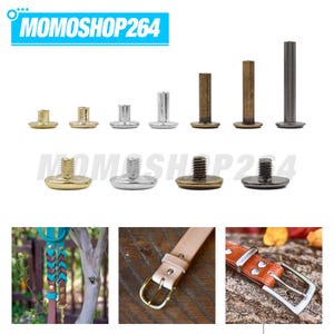 May include: A collection of metal Chicago screws and binding posts in various lengths and finishes including gold, silver, and bronze. The set includes threaded posts and matching screw heads, shown alongside examples of their use on leather belts and straps.