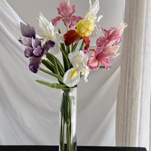 Op de afbeelding: Een boeket kleurrijke irissen in een heldere glazen vaas. De irissen tonen een verscheidenheid aan kleuren, waaronder wit, roze, geel, paars en rood. De hoge, cilindrische vaas toont de stelen en groene bladeren.