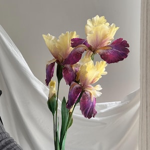 May include: A cluster of three iris flowers featuring ruffled petals in a gradient of pale yellow and deep purple. The stems are green and slender, with one unopened bud visible. The petals display intricate veining and a soft, layered texture.