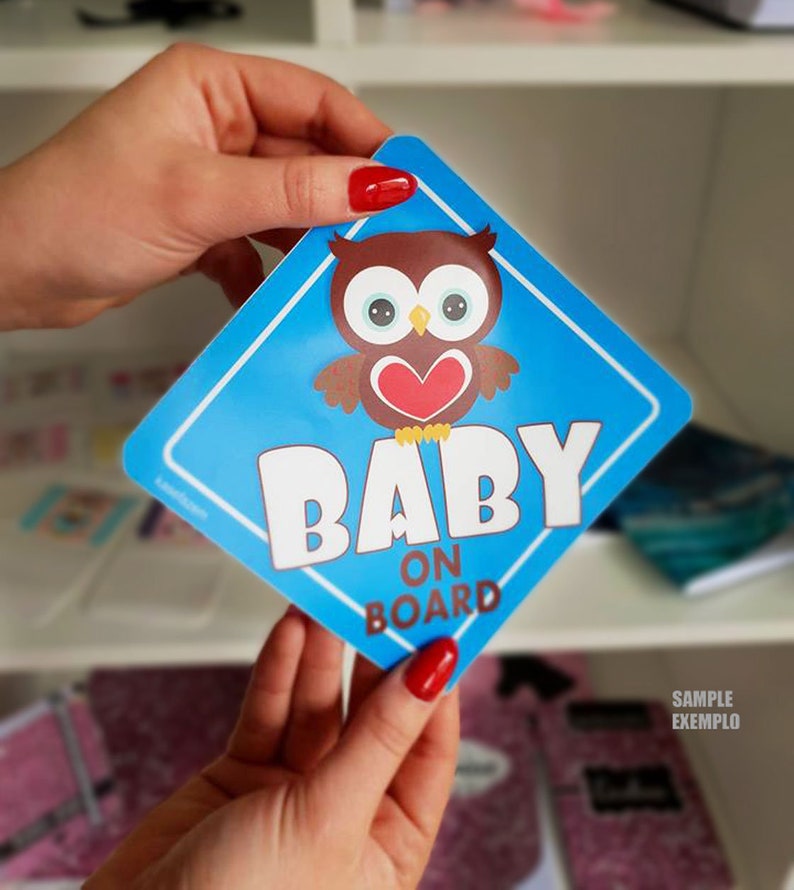 Crown Princess Robyn On Board Personalised Baby Girl Car Sign