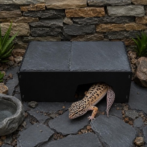 May include: A rectangular black reptile hide box featuring a flat top made of two dark gray slate tiles. A leopard gecko with yellow and black spotted skin is emerging from the front opening of the structure, which is positioned on a stone surface.