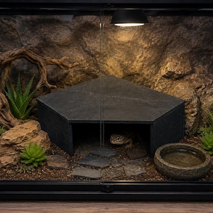 Slate Reptile Hide Cave 10x10x4, Aquarium Shelter, Gecko Hide, Snake Cave, Turtle Shelter, Fish Hideout, Pleco Decor, Reptile Habitat