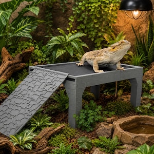 May include: A gray reptile basking platform with a textured ramp and a brick-patterned base, featuring a flat top surface. A bearded dragon lizard is positioned on the platform, which is set within a naturalistic terrarium environment.