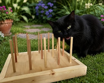 Cat Chewing Toy Natural Wood Sticks for Cats, Indoor Cat Enrichment Bite Box Chew Toy