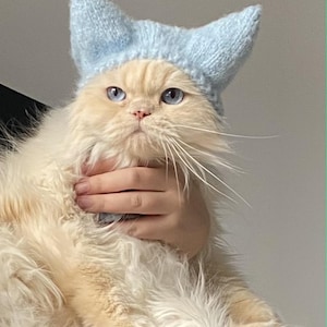 May include: A light blue knitted hat with two pointed cat-ear shapes on top. The hat is made of a soft, textured yarn and is designed to fit over the head with a snug, ribbed edge that sits comfortably above the forehead and ears.