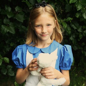 Puede incluir: Una ni&ntilde;a peque&ntilde;a con un vestido azul con cuello blanco y un lazo blanco en el pelo. Est&aacute; sosteniendo un animal de peluche blanco en sus manos. La ni&ntilde;a est&aacute; de pie frente a un fondo verde frondoso.