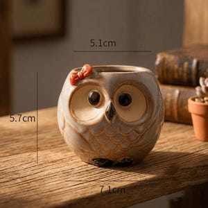 Ceramic Owl Planter | Mini Succulent Pot with Saucer | Animal Cactus Flowerpot | Owl Lover Gift | Office Desk Garden Decor