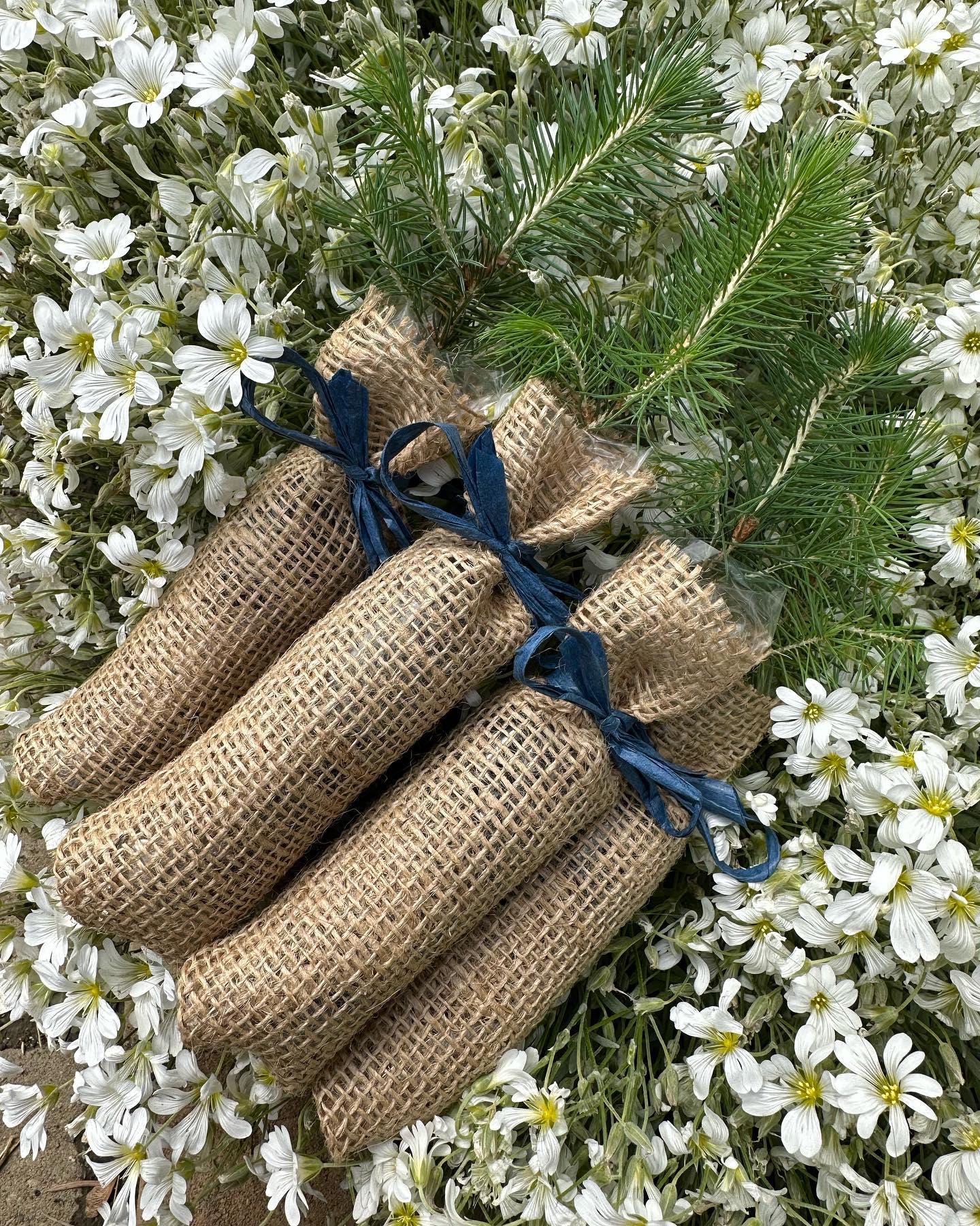 Tree Favors Tree Seedling Event Favors Wrapped in Burlap - Etsy