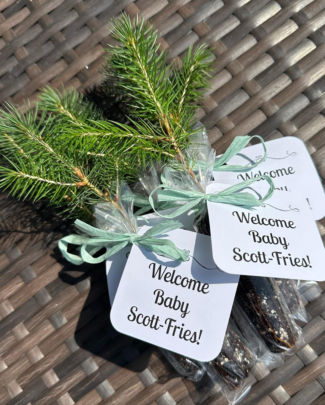 Tree Favors Tree Seedling Event Favors With Personalized Tag and Raffia Bow - Etsy