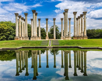 National Capitol Columns - National Arboretum