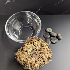 Rose of Jericho, Moss, Living plant, gift for her, gift for him, resurrection plant, meditation aid, housewarming present, christmas, image 2