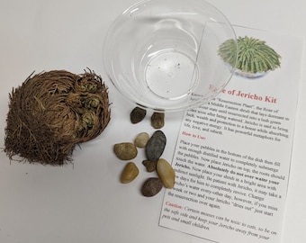 Rose of Jericho Resurrection Plant Kit: Living Moss, Glass Bowl Set
