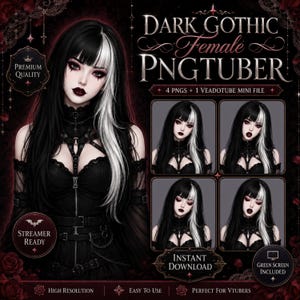 May include: A digital character illustration featuring a person with black and white hair, dark makeup, and a black gothic outfit with straps and buckles. The image includes text reading DARK GOTHIC FEMALE PNGTUBER, 4 PNGS + 1 VEADOTUBE MINI FILE.