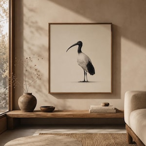 Può includere: Una stampa artistica da parete quadrata incorniciata che raffigura un'illustrazione in bianco e nero di un ibis con un lungo becco ricurvo, in piedi di profilo su uno sfondo beige chiaro, racchiusa in una sottile cornice di legno naturale.