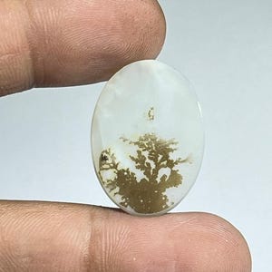 Puede incluir: Una piedra preciosa de ágata dendrítica de forma ovalada con una base blanca lechosa translúcida y distintas inclusiones de color marrón oscuro en forma de árbol o helecho que se extienden por la mitad inferior.