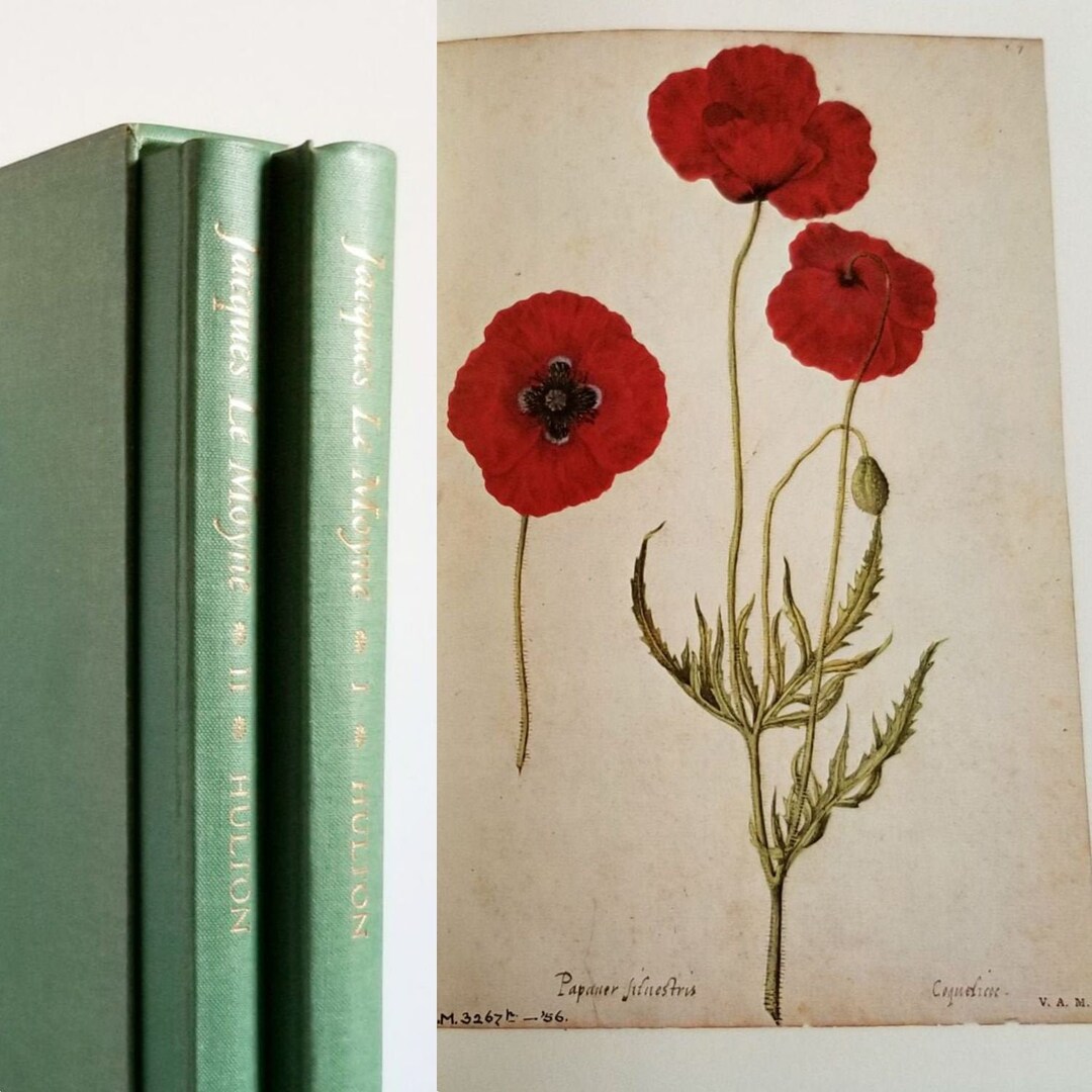 Botanical Art Book Set the Work of Jacques Le Moyne De Vintage