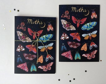 Moths illustrated greeting cards, set of 3 cards